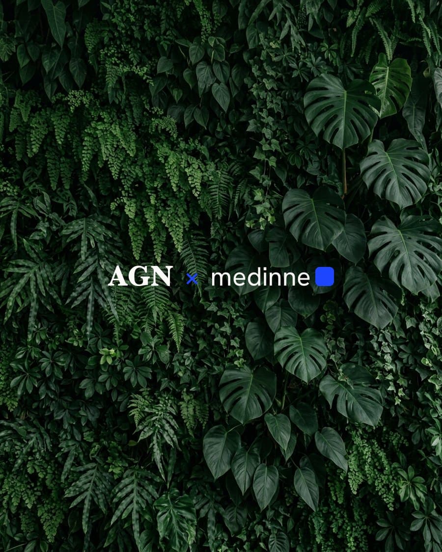 AGN × Medinne